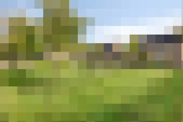 Majoraan 35 Dronten thumbnail 45