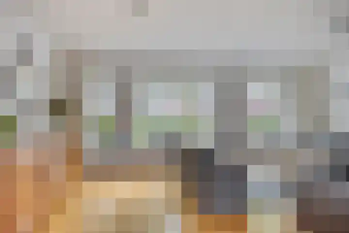 Majoraan 35 Dronten thumbnail 7