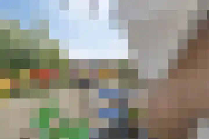 Majoraan 43 Oisterwijk thumbnail 16