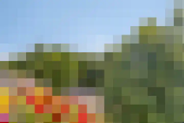 Majoraan 43 Oisterwijk thumbnail 17