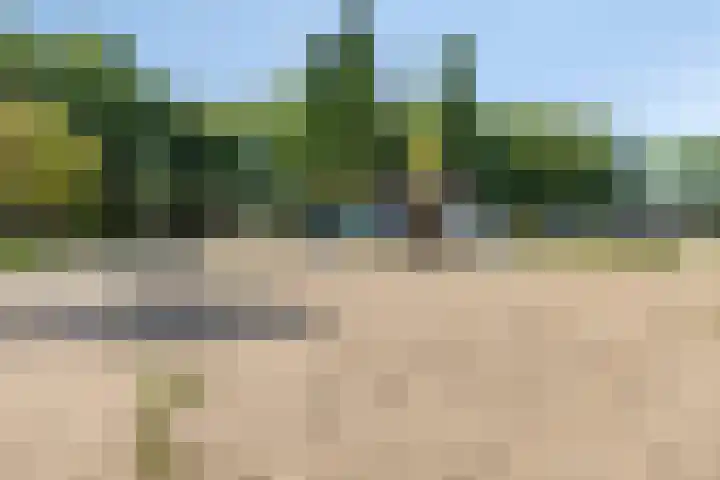 Majoraan 43 Oisterwijk thumbnail 23