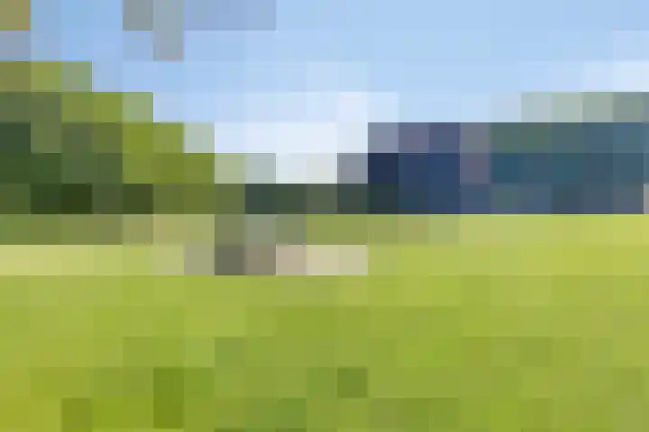 Majoraan 43 Oisterwijk thumbnail 24