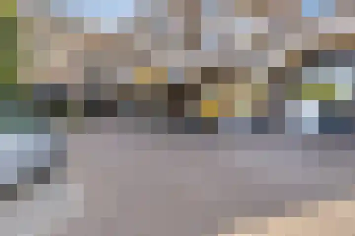 Majoraan 43 Oisterwijk thumbnail 25