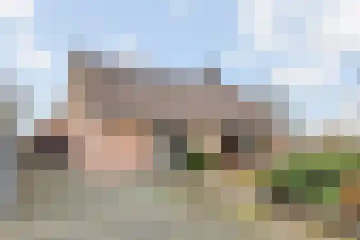 Majoraan 5 en Raalte