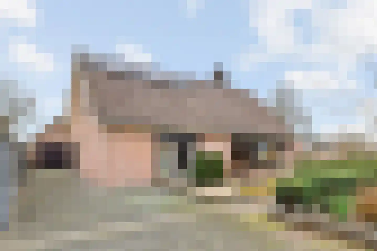 Majoraan 5 Raalte