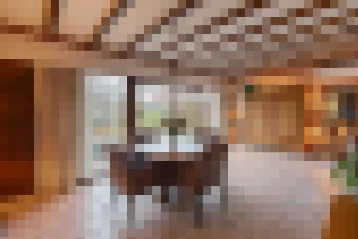 Majoraan 5 Raalte thumbnail 10