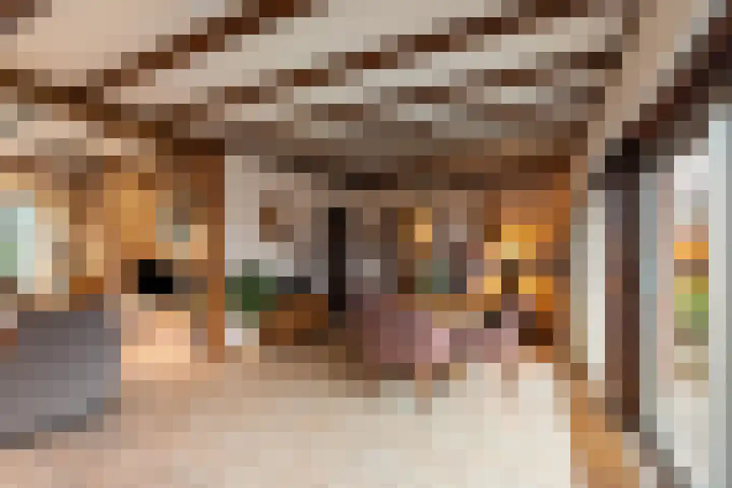 Majoraan 5 Raalte thumbnail 11