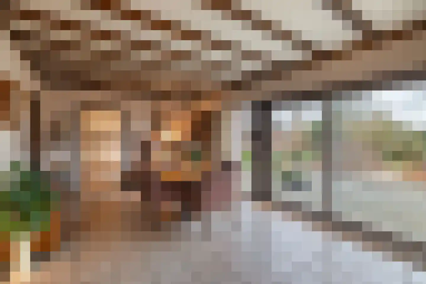 Majoraan 5 Raalte thumbnail 12