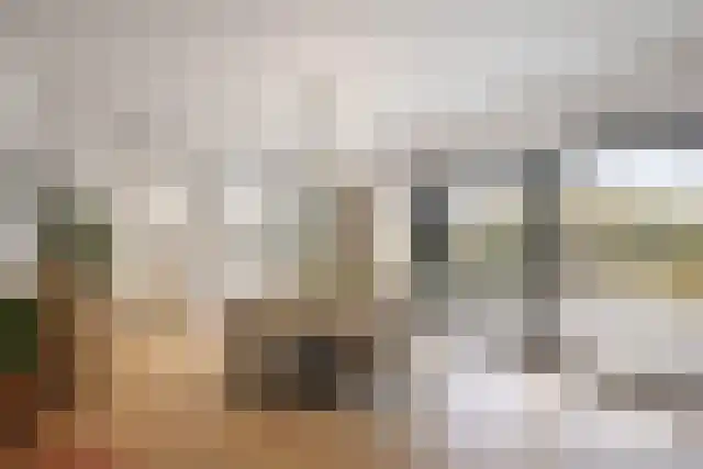Majoraan 5 Raalte thumbnail 14
