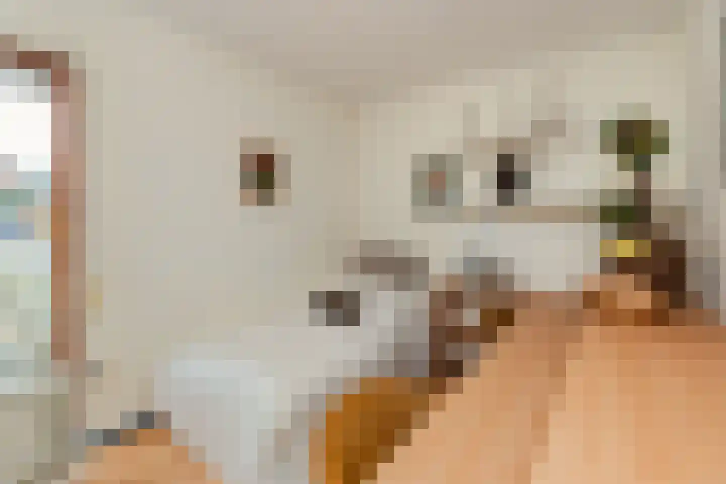 Majoraan 5 Raalte thumbnail 21