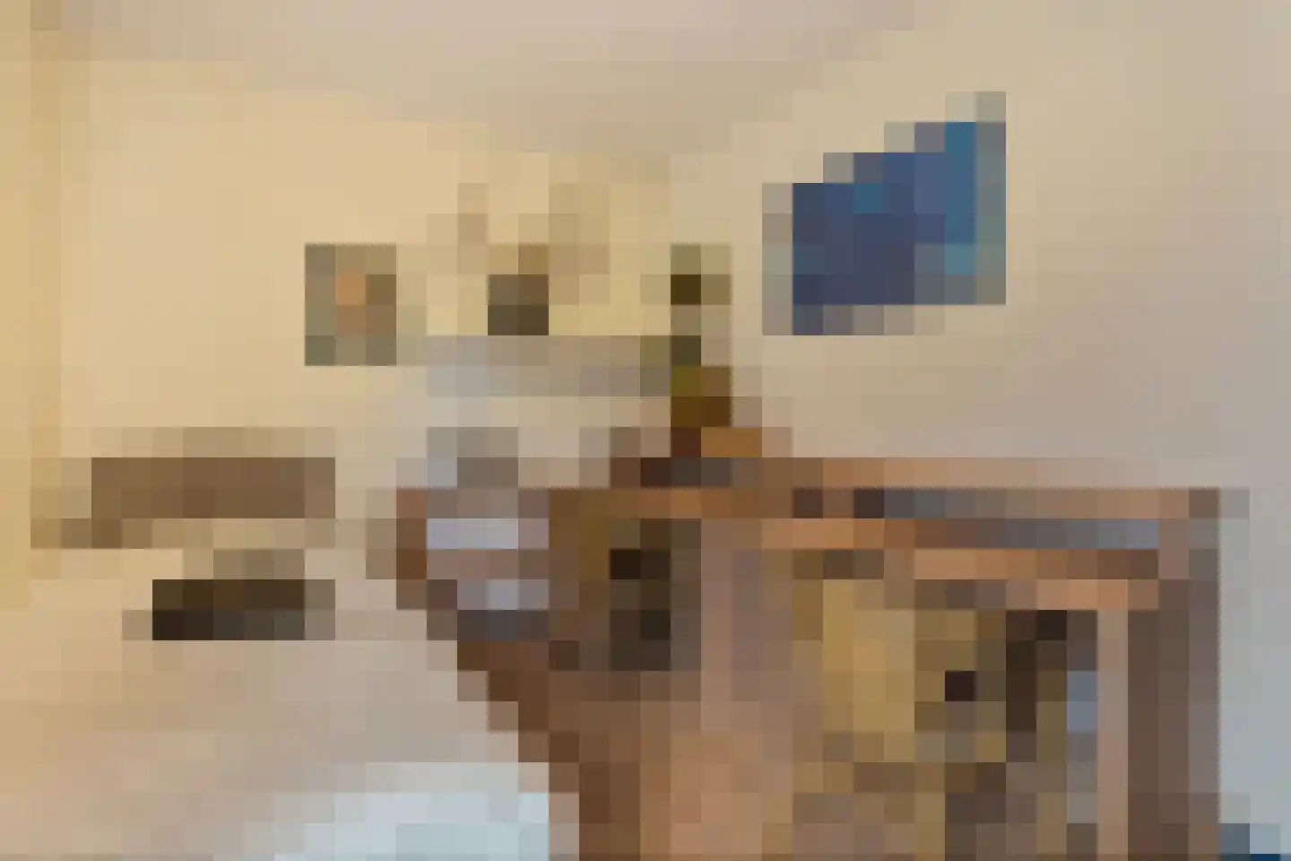 Majoraan 5 Raalte thumbnail 22