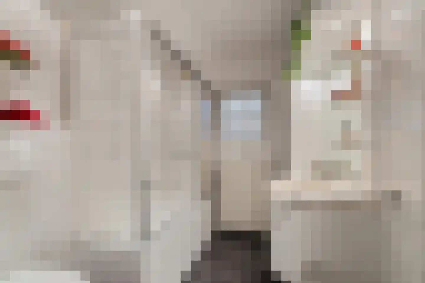 Majoraan 5 Raalte thumbnail 24