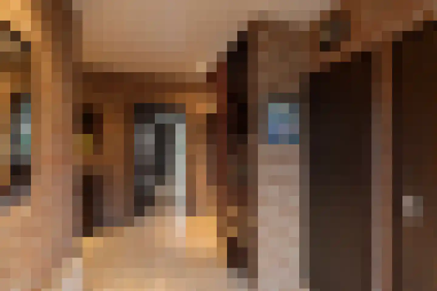 Majoraan 5 Raalte thumbnail 28