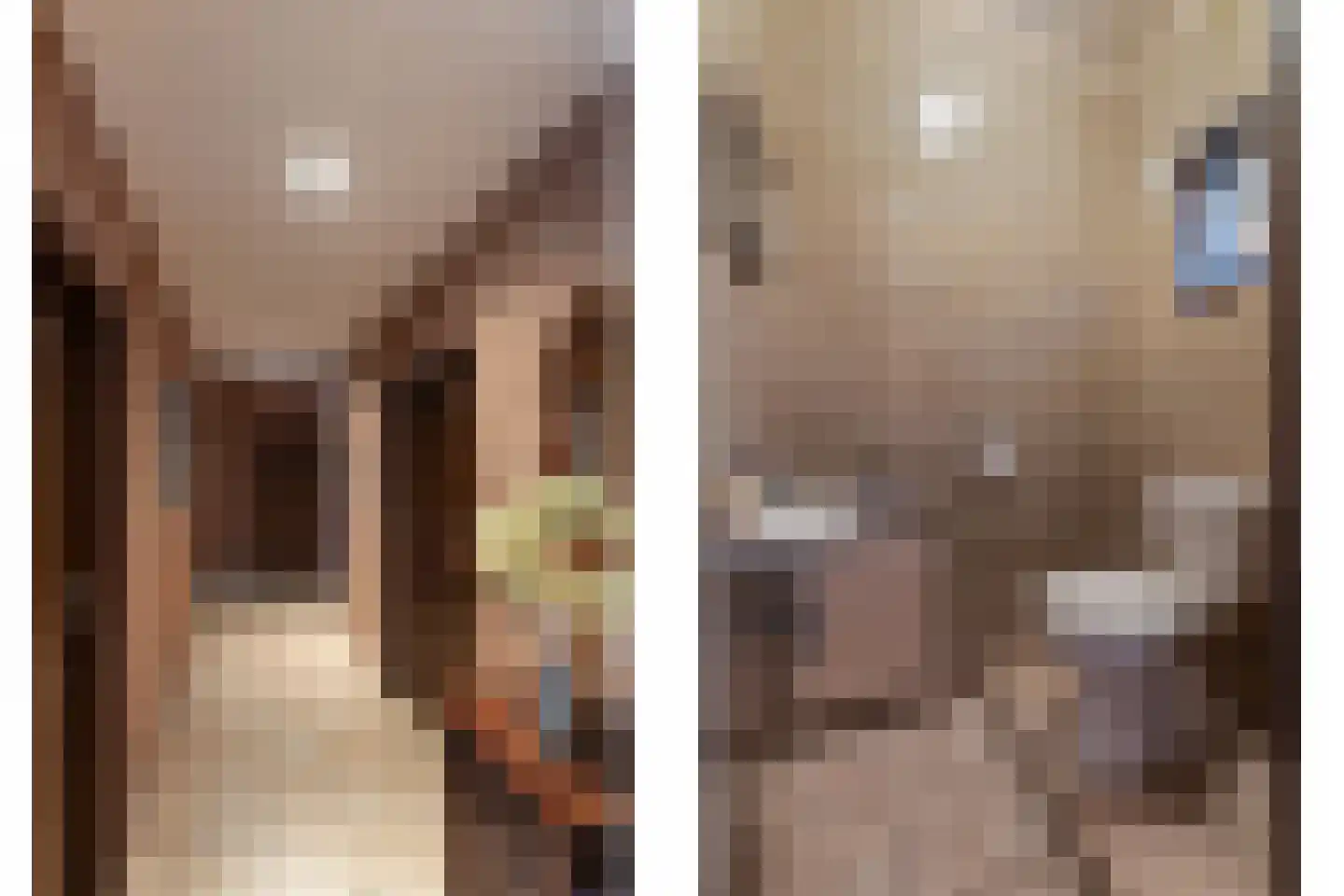 Majoraan 5 Raalte thumbnail 29