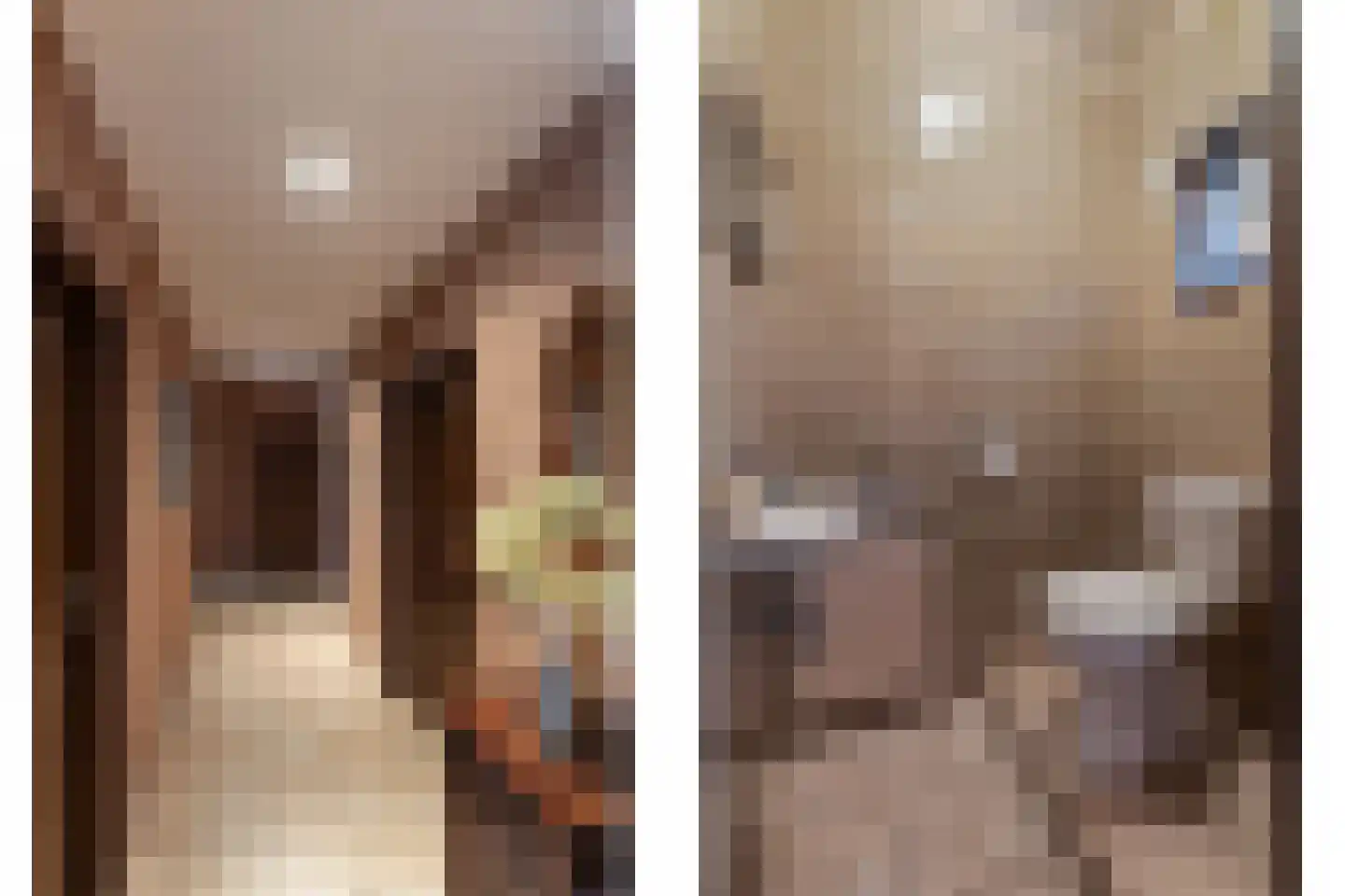 Majoraan 5 Raalte thumbnail 30