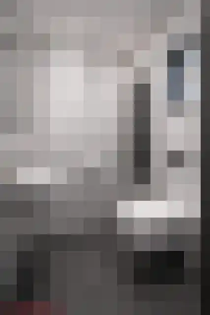 Majoraan 5 Raalte thumbnail 31