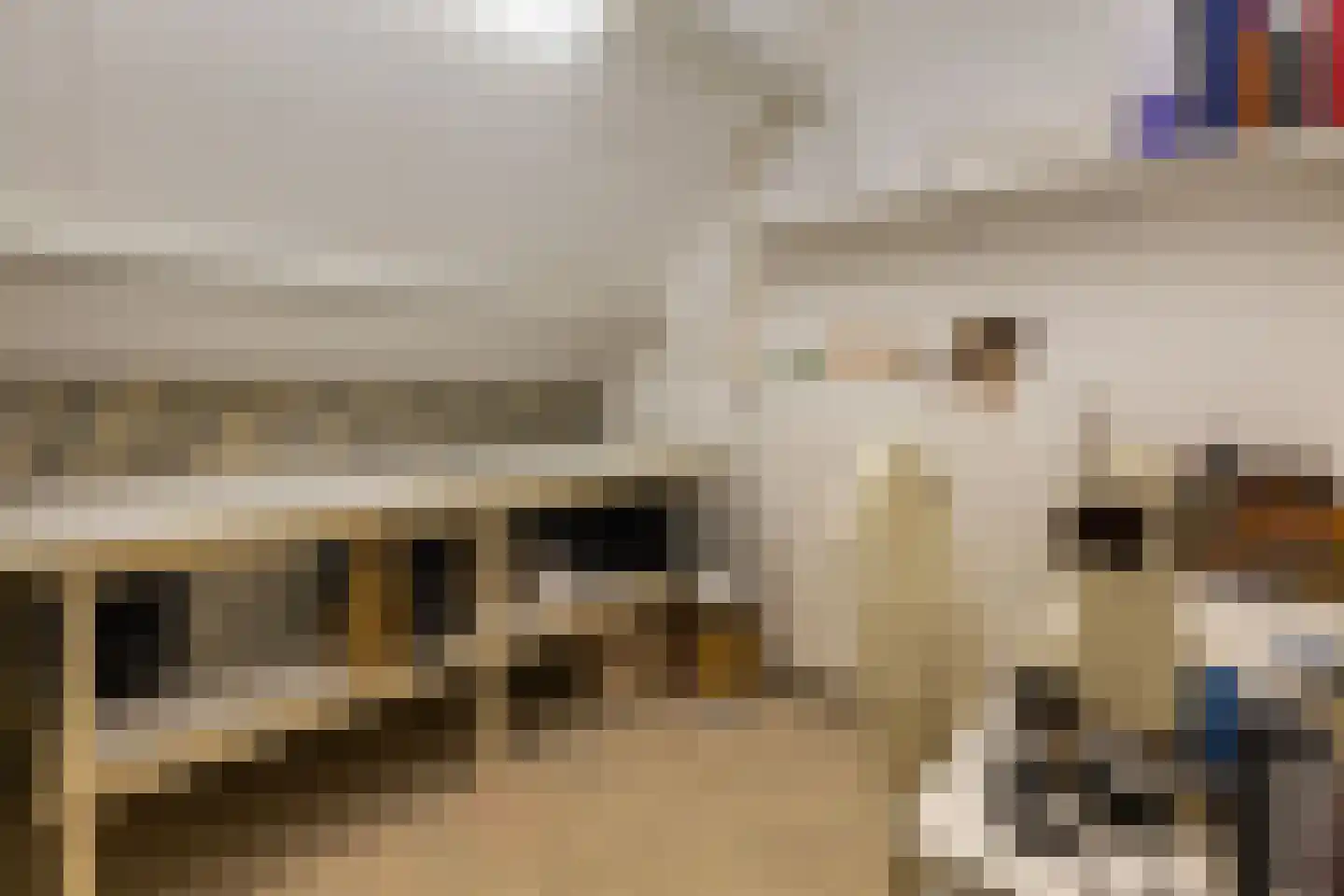 Majoraan 5 Raalte thumbnail 40