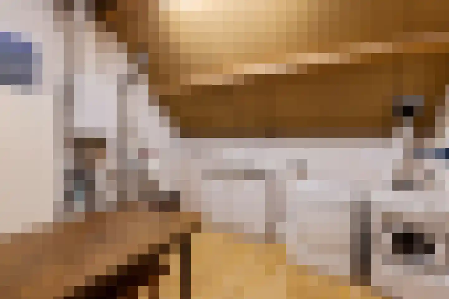 Majoraan 5 Raalte thumbnail 41