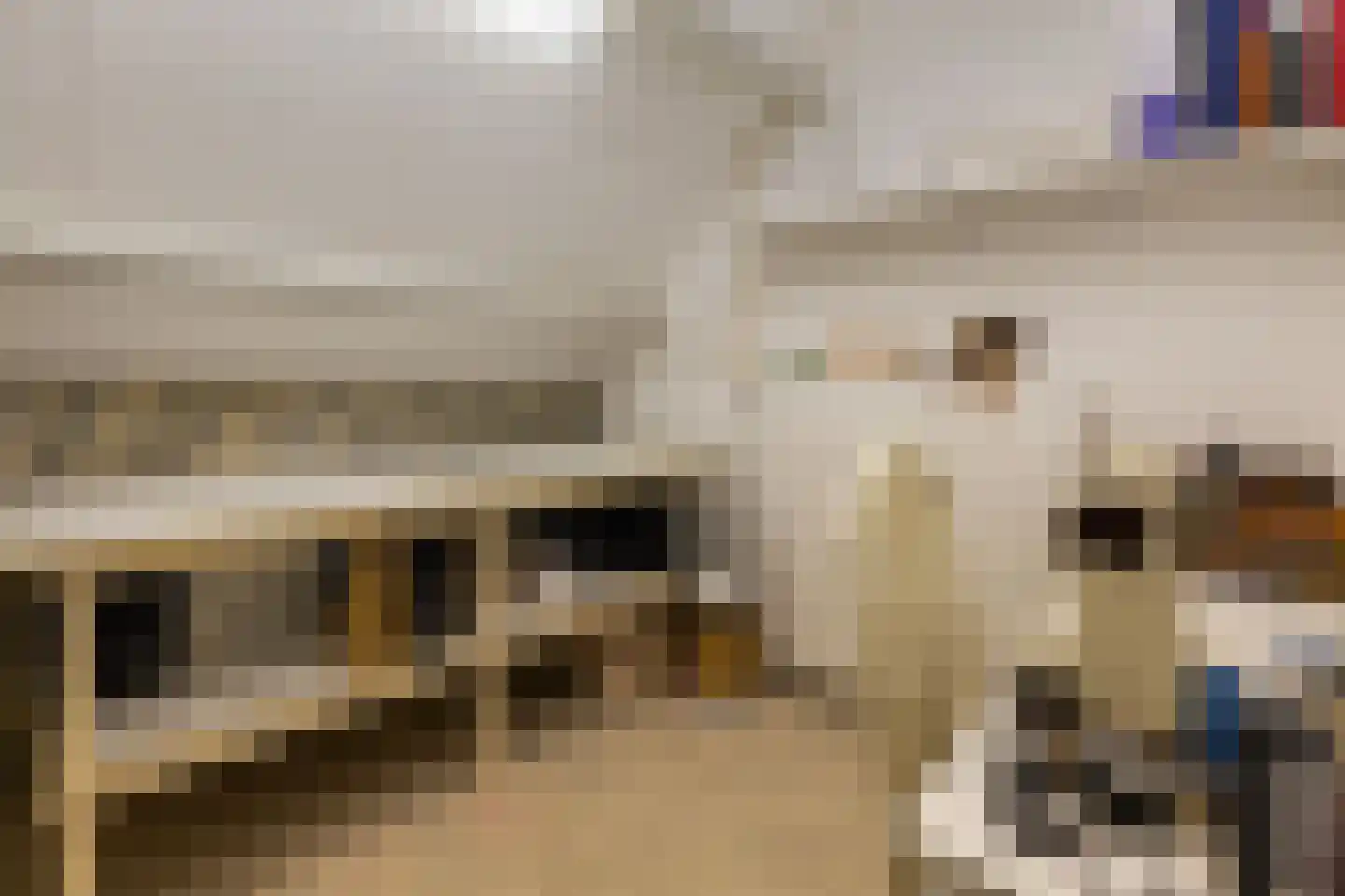 Majoraan 5 Raalte thumbnail 41