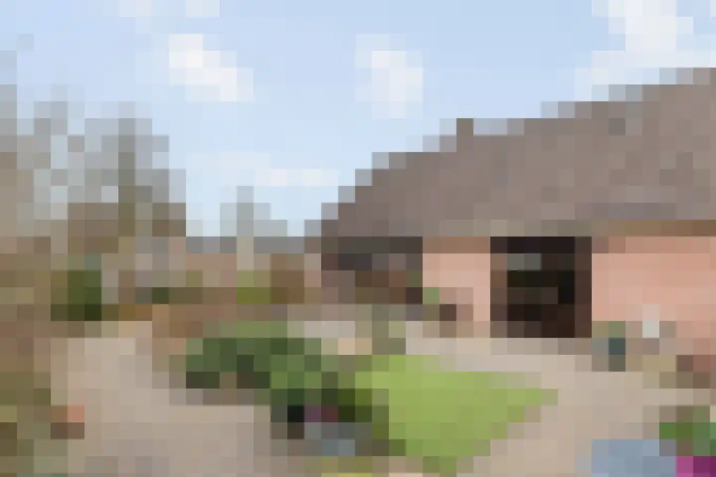 Majoraan 5 Raalte thumbnail 44