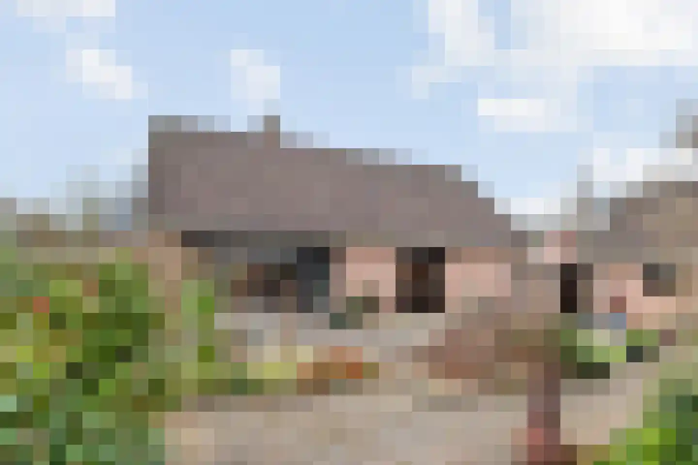 Majoraan 5 Raalte thumbnail 45