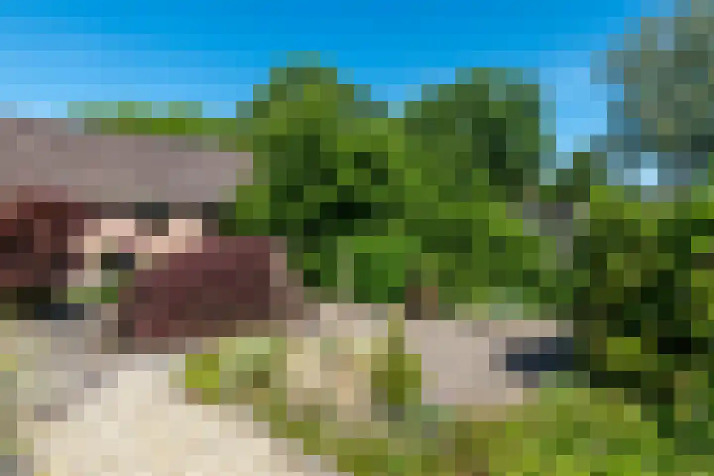 Majoraan 5 Raalte thumbnail 45