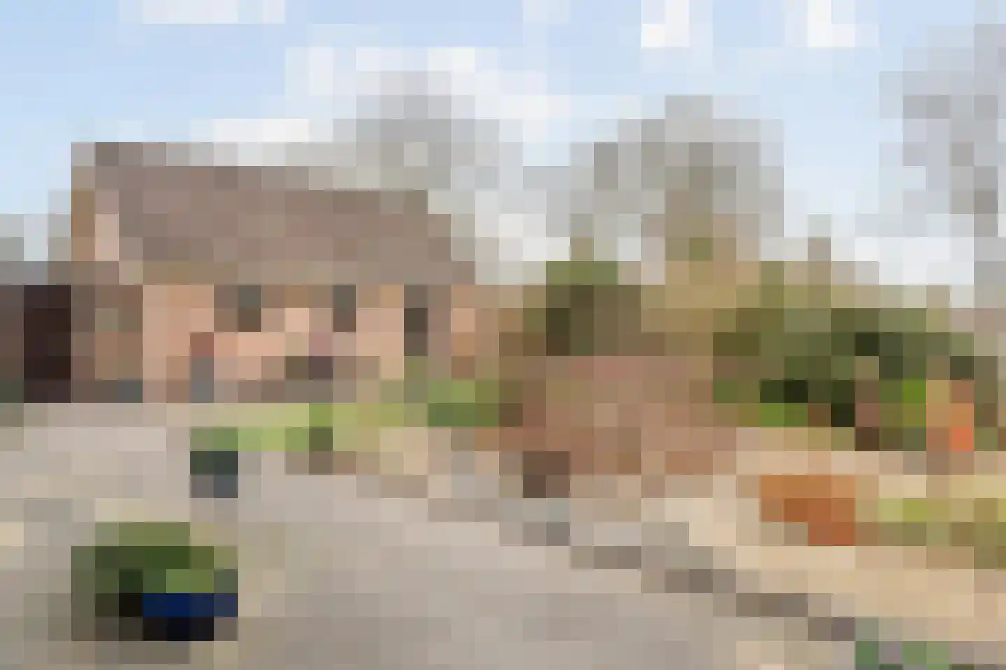 Majoraan 5 Raalte thumbnail 46