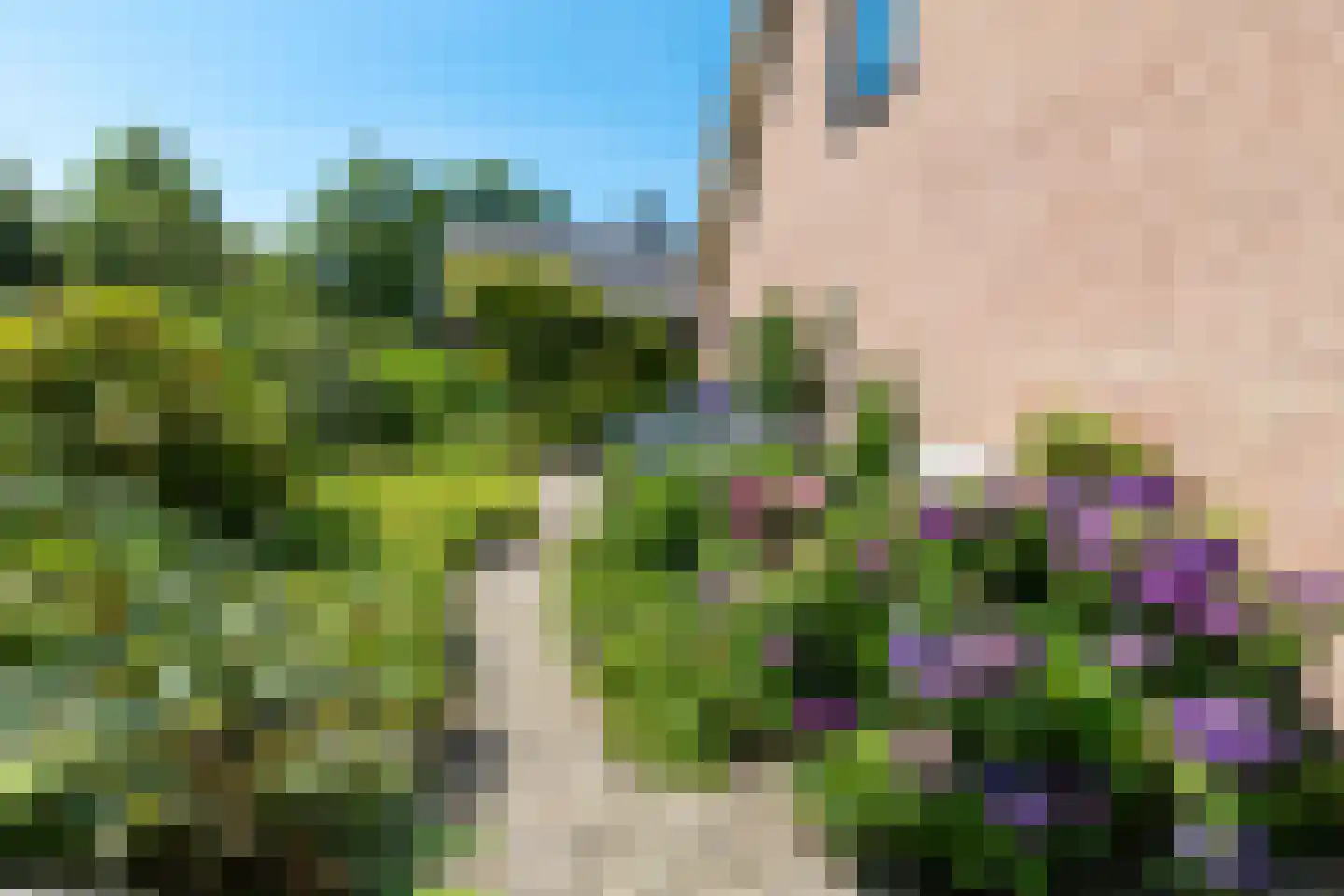 Majoraan 5 Raalte thumbnail 47