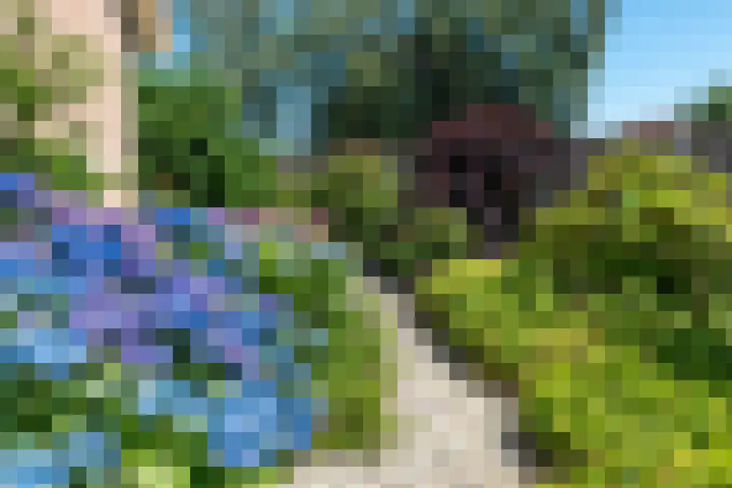 Majoraan 5 Raalte thumbnail 48