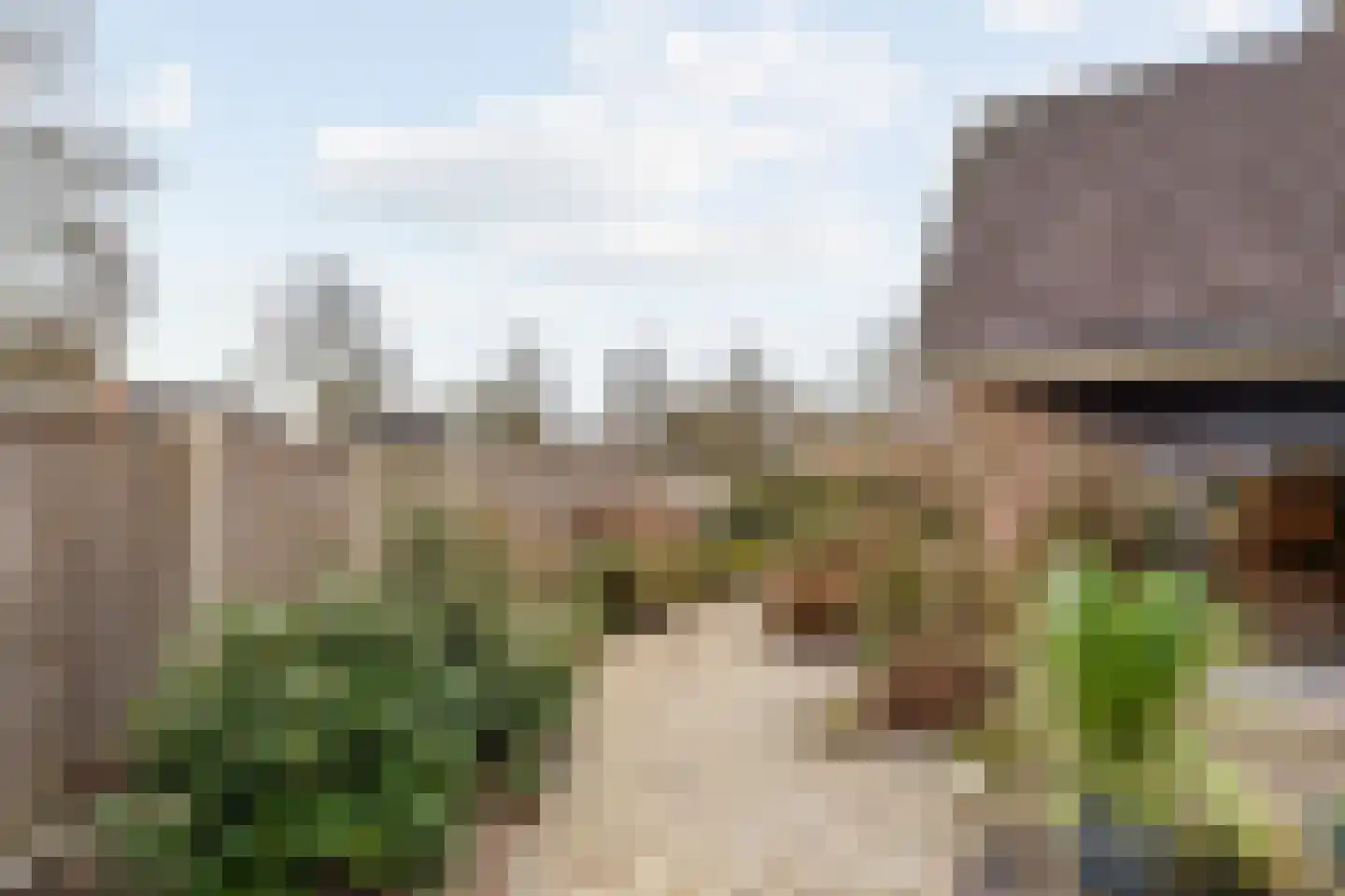 Majoraan 5 Raalte thumbnail 49