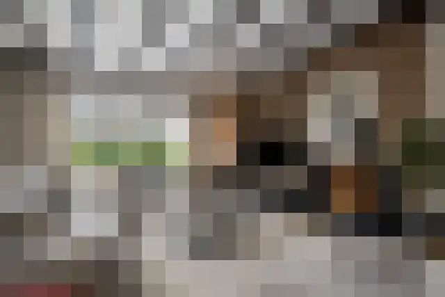 Majoraan 5 Raalte thumbnail 5