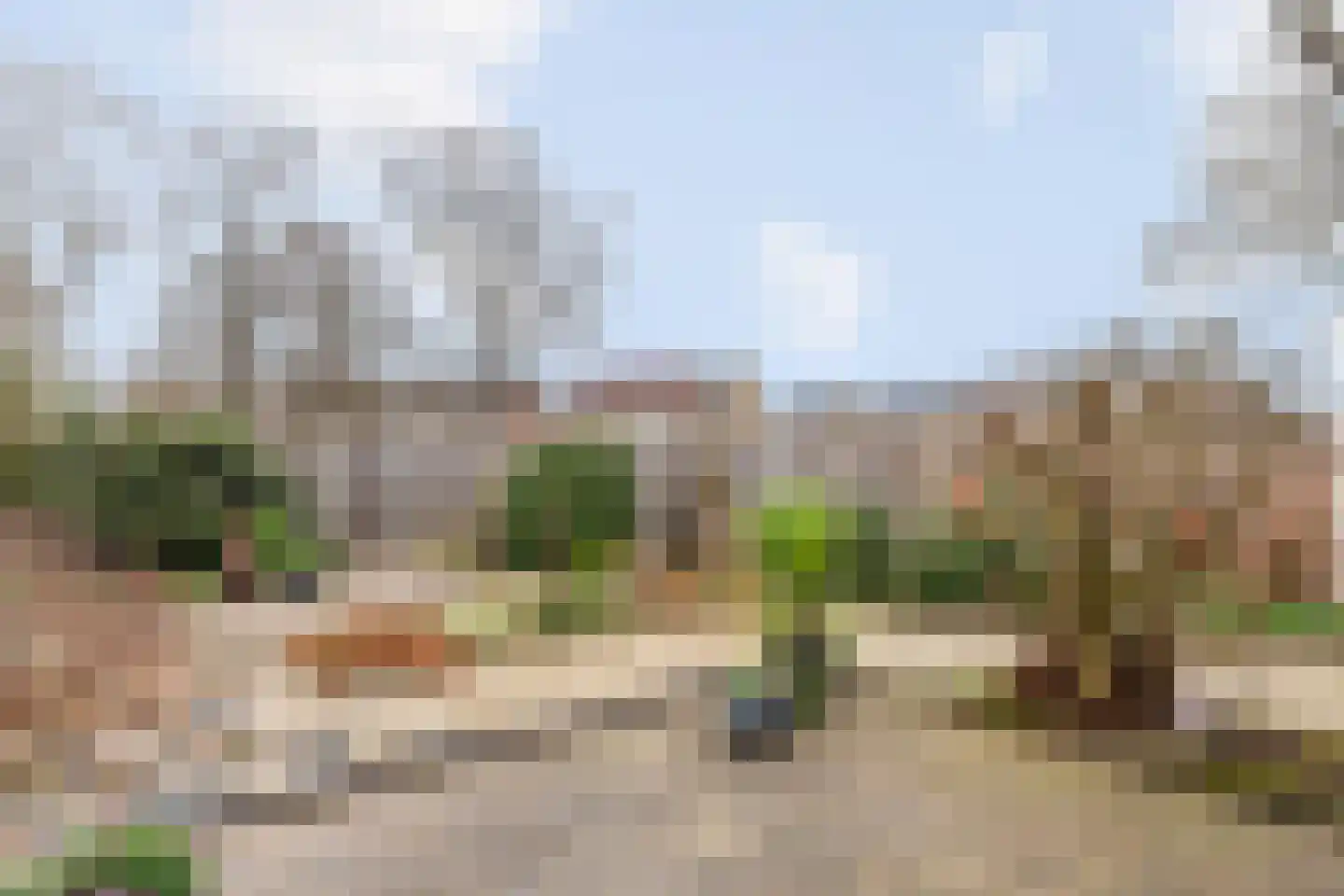 Majoraan 5 Raalte thumbnail 50