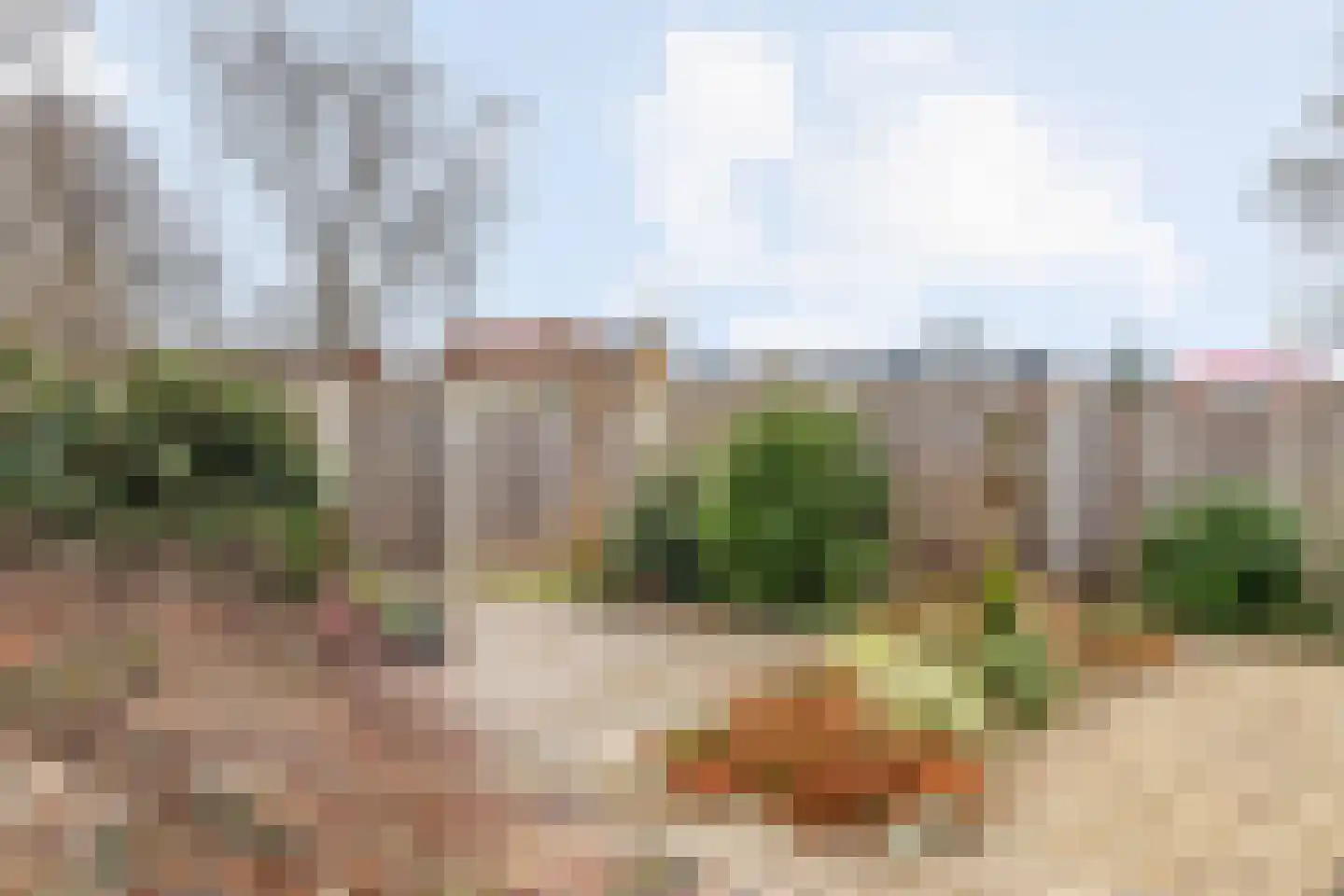 Majoraan 5 Raalte thumbnail 52