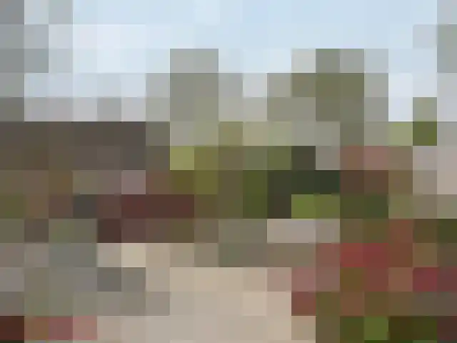 Majoraan 5 Raalte thumbnail 54