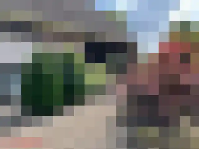 Majoraan 5 Raalte thumbnail 57