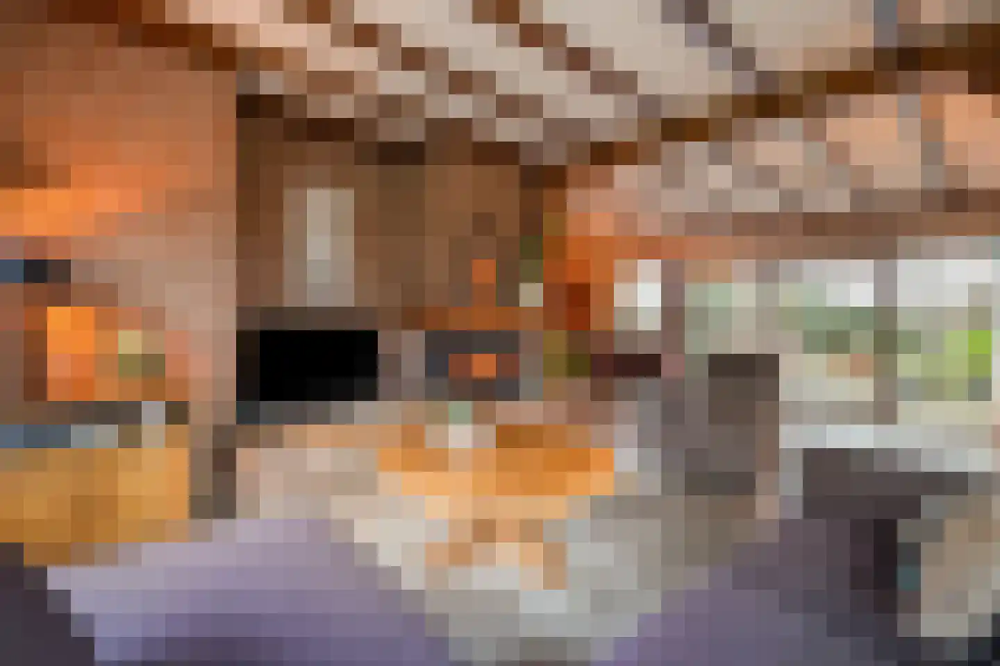 Majoraan 5 Raalte thumbnail 6