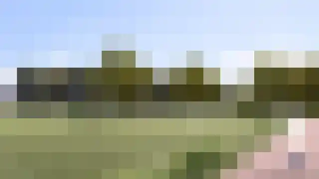 Majoraan 5 Raalte thumbnail 62