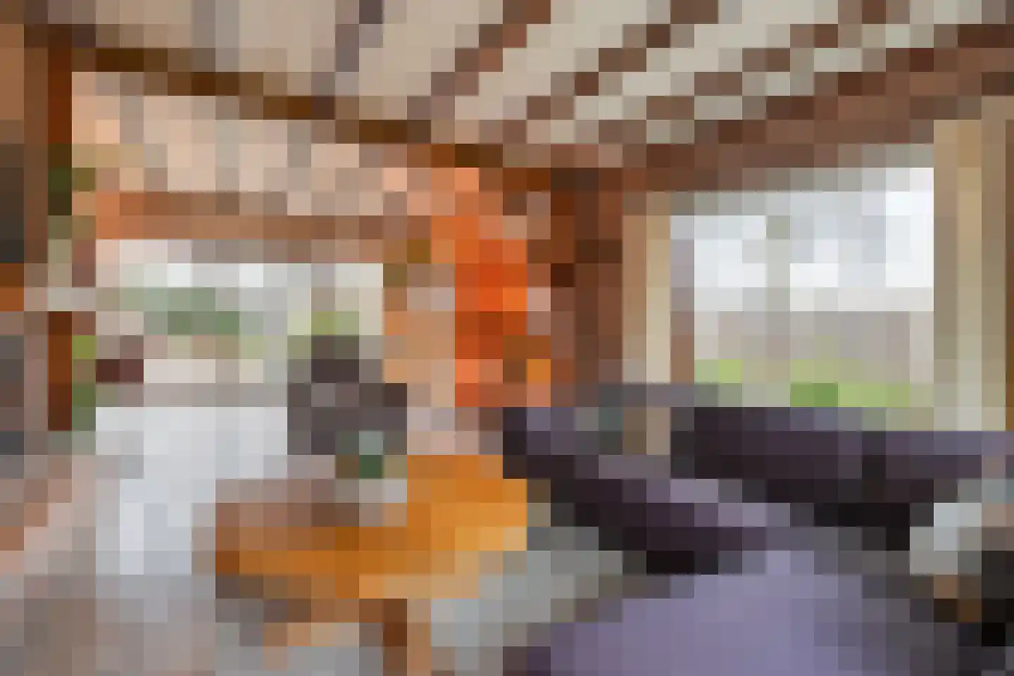 Majoraan 5 Raalte thumbnail 7