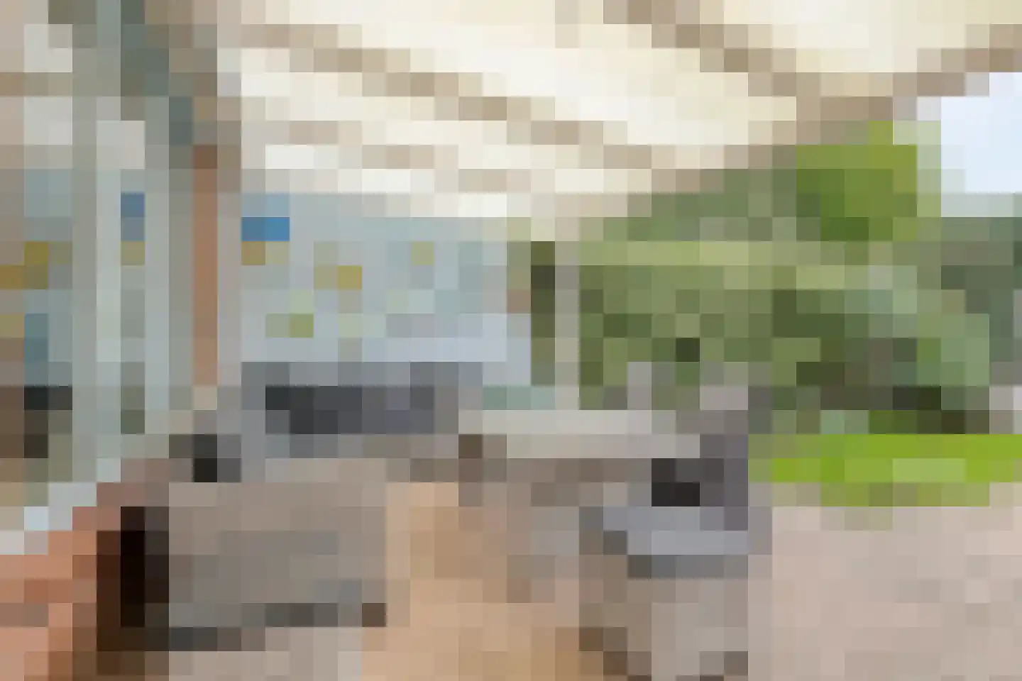 Majoraan 68 Dronten thumbnail 13