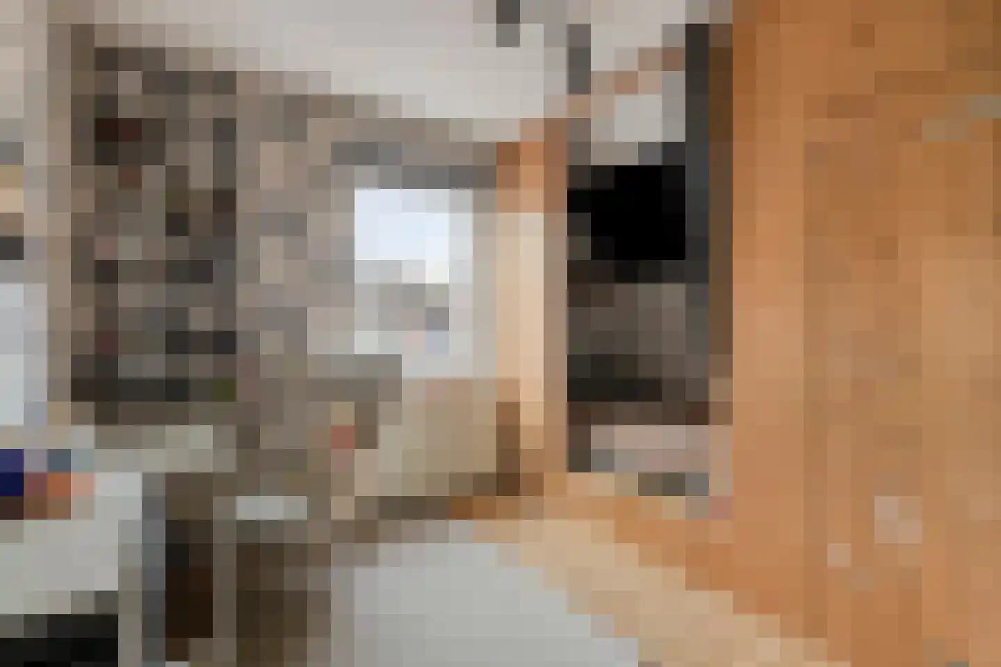 Majoraan 68 Dronten thumbnail 27
