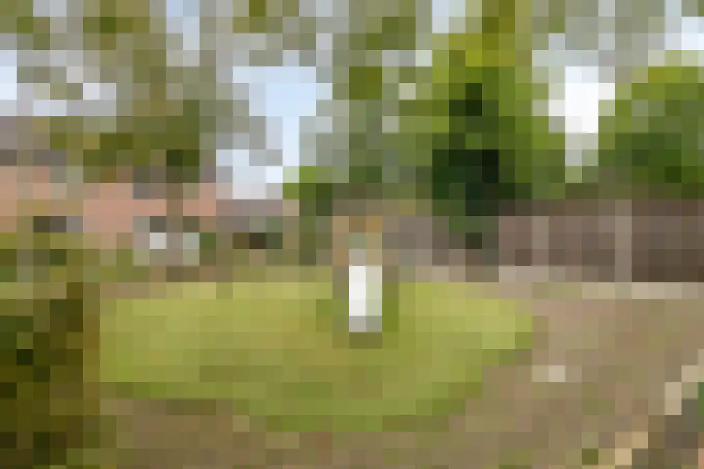 Majoraan 68 Dronten thumbnail 40