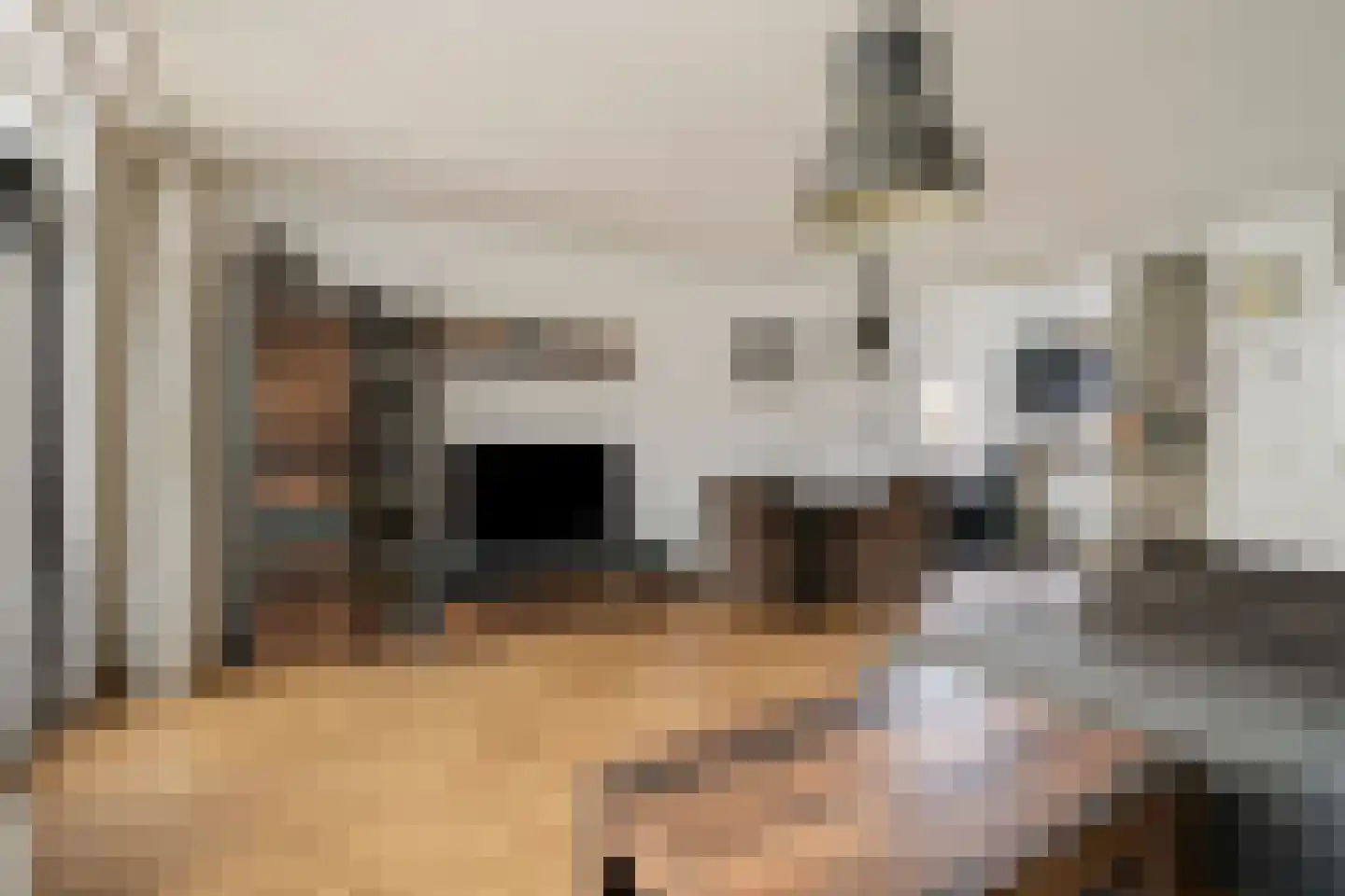 Majoraan 68 Dronten thumbnail 6