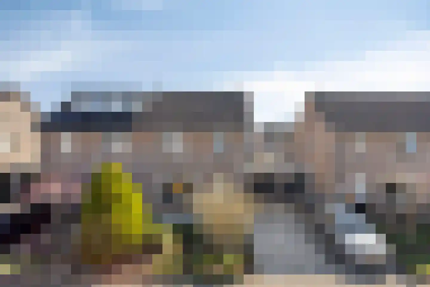 Majoraan 8 in Dronten