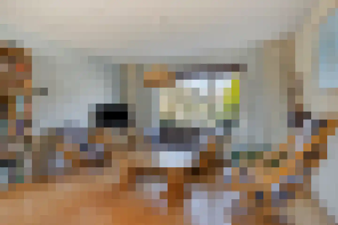 Majoraan 8 Dronten thumbnail 11