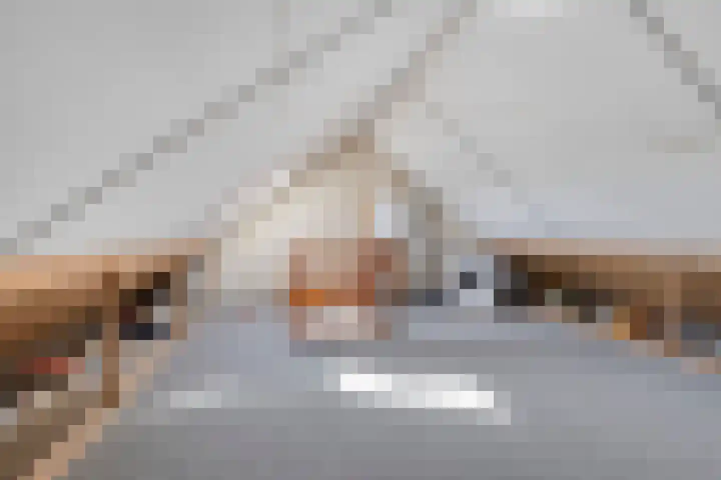Majoraan 8 Dronten thumbnail 31