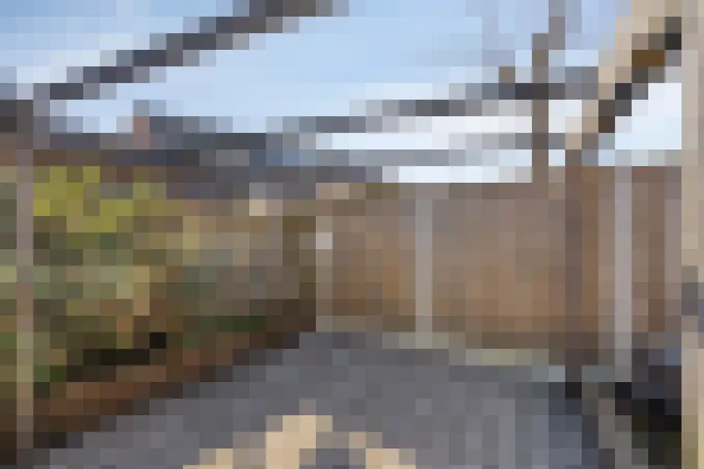 Majoraan 8 Dronten thumbnail 35
