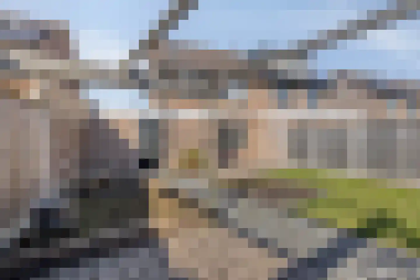 Majoraan 8 Dronten thumbnail 38