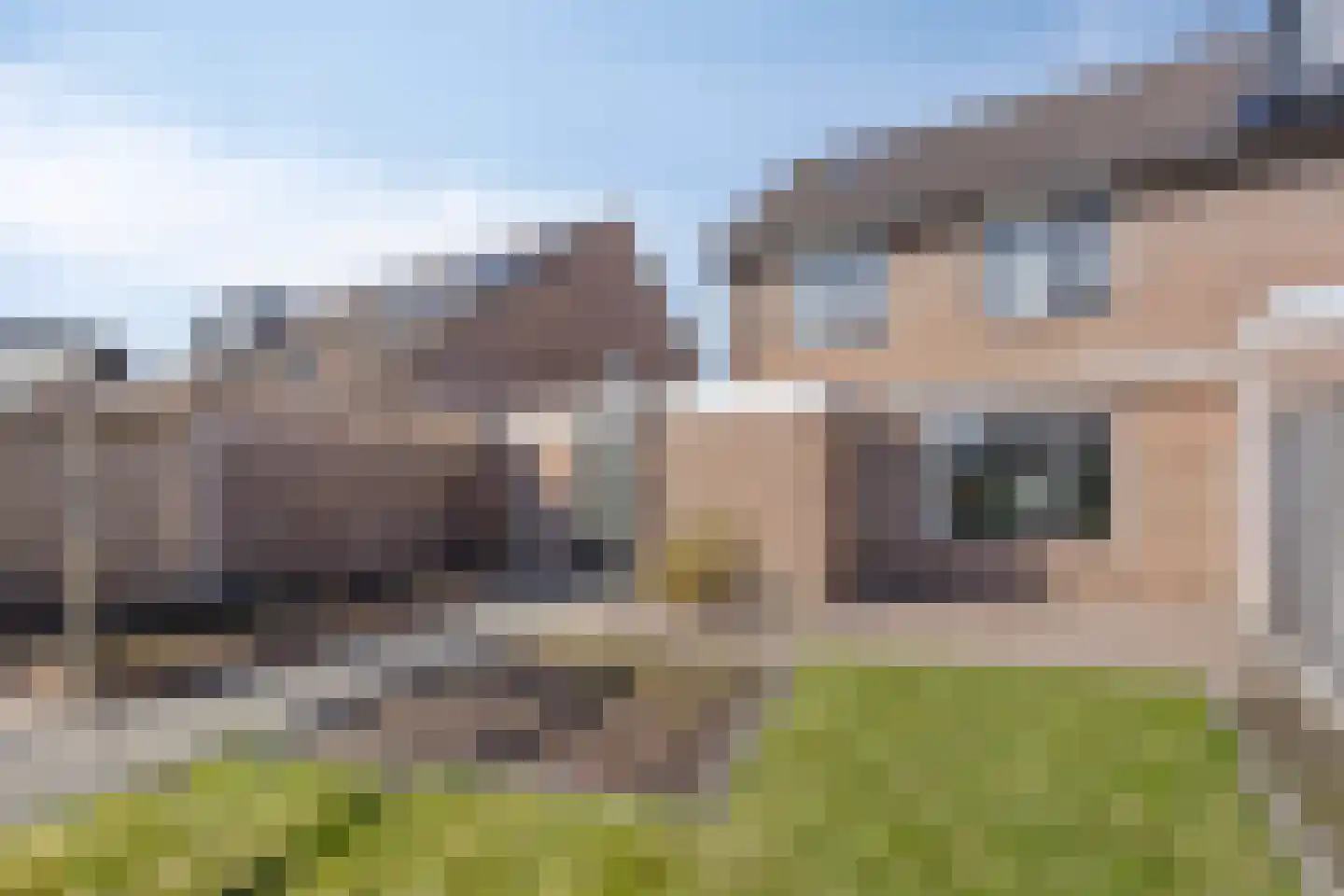 Majoraan 8 Dronten thumbnail 39