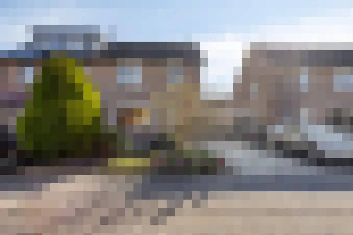 Majoraan 8 Dronten thumbnail 44