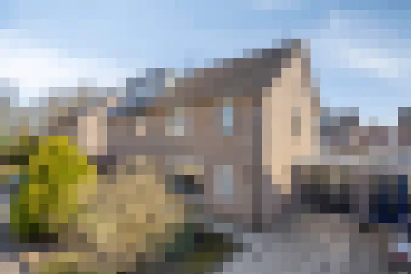 Majoraan 8 Dronten thumbnail 45
